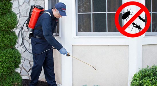 Tepebaşı Gümüşkurt İlaçlama böcek ilaçlama ve haşere kontrolü — ilaclama-tr.com